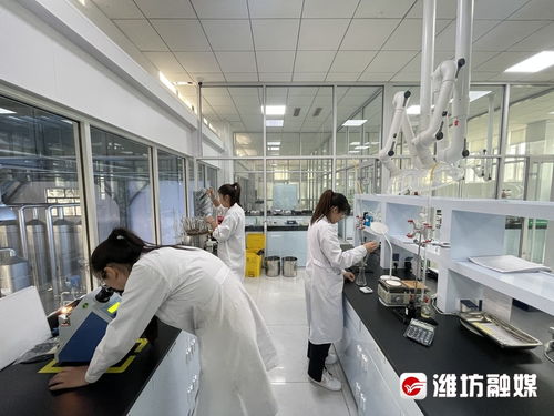 搶風(fēng)口 布賽道 濰坊諸城以技術(shù)開發(fā)為核心，加速生物制造產(chǎn)業(yè)發(fā)展